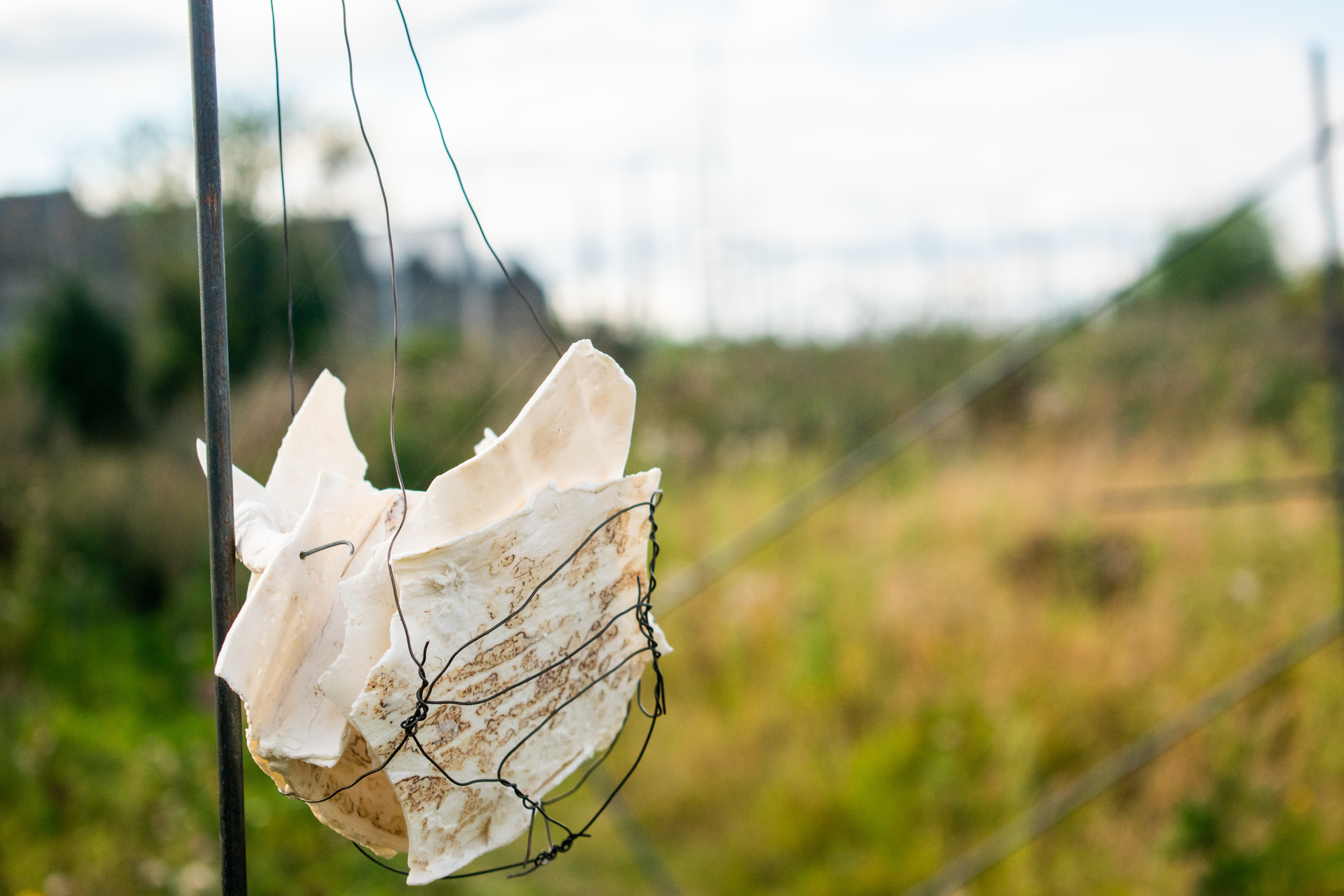 Críoch, 2021. Temporary installation in collaboration with Emily Waszak, site accessed off the Royal Canal near Broombridge Luas stop, Dublin 7. Pictured is part of this installation; -Steel stand, wire basket, porcelain paper clay fragments with rust transfer.